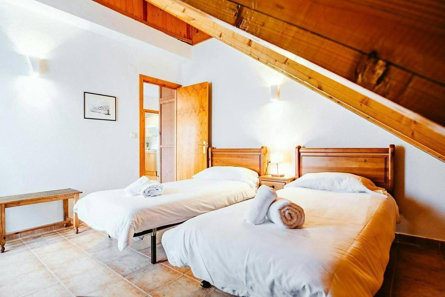 Olympia Tus Mascotas Son Bienvenidas Formigal Exteriör bild